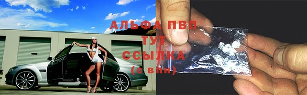 прущие грибы Абаза